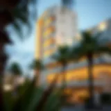 Elegant Architecture of Palm Parking Elegant architecture of Palm Parking