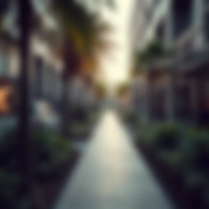 Sustainable Landscaping at Palm Parking Sustainable landscaping around Palm Parking