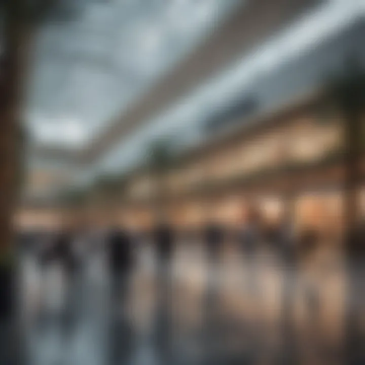 Shoppers enjoying the commercial offerings at Festival City Center