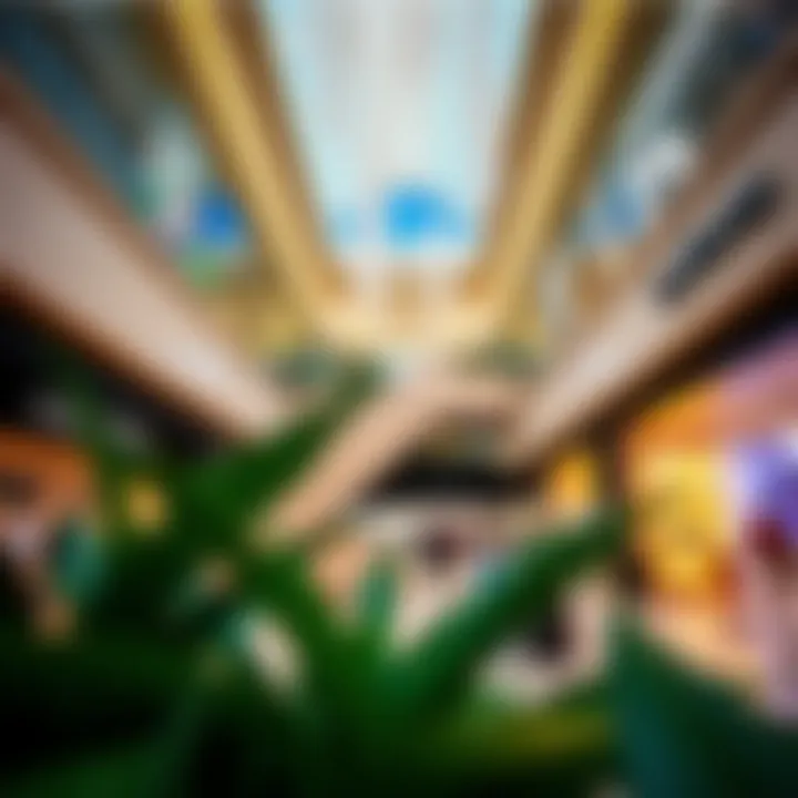 Diverse Retail Experience at Galleria Mall Luxury retail offerings at Galleria Mall