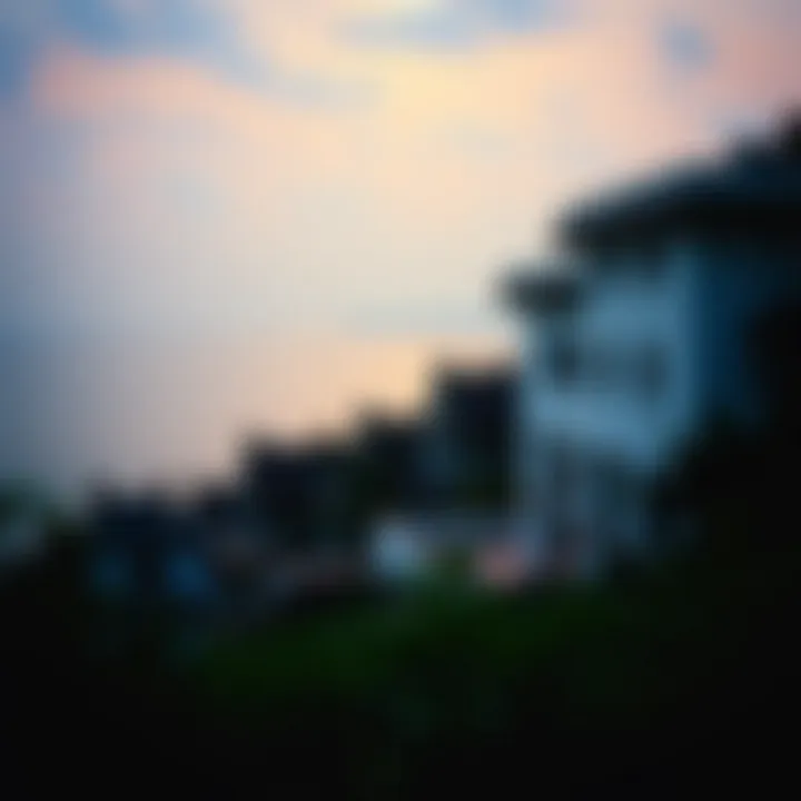 Cove's impact on contemporary literature