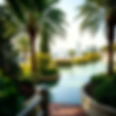 Scenic overview of Jaddaf Waterfront Park showcasing lush greenery and water features