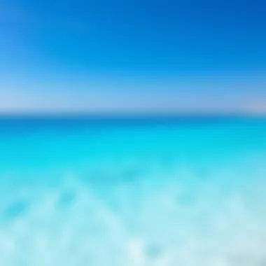 Crystal Clear Waters of Jebel Ali Beach Stunning beach environment showcasing clear waters