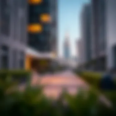 Documentation required for visa cancellation