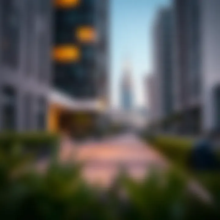 Documentation required for visa cancellation