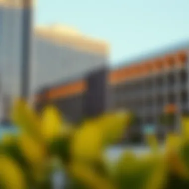 Checklist for employment visa cancellation process in Dubai