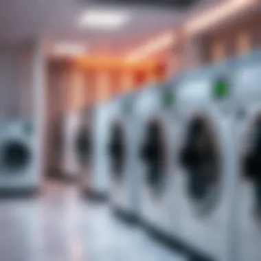 Modern Laundry Facility in Damac Hills 2 A view of a modern laundry facility in Damac Hills 2 showcasing advanced washing machines