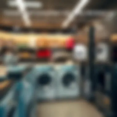 Trends and Consumer Preferences in Laundry Services Infographic depicting trends and consumer preferences in the laundry sector of Damac Hills 2