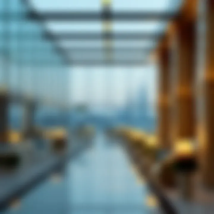 Diverse Tourist Visa Options in the UAE Overview of UAE tourist visa options