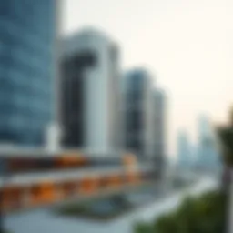 Navigating Visa Cancellation Post-Expiry in Dubai's Real Estate Sector Introduction