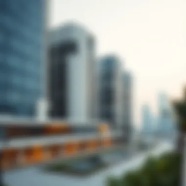 Navigating Visa Cancellation Post-Expiry in Dubai's Real Estate Sector Introduction