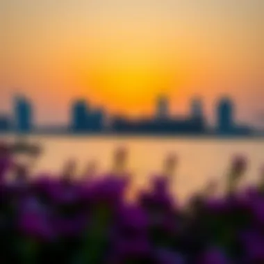 A picturesque sunset over the One and Only Zabeel skyline highlighting its stunning waterfront location.