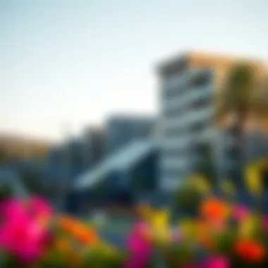 Vibrant Community Around Orchidea Residence Overview of the vibrant community surrounding Orchidea Residence