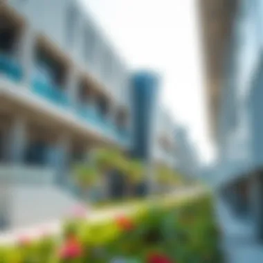 Modern Architecture of Dubai Public Schools An overview of a public school campus in Dubai, highlighting modern architecture and educational facilities