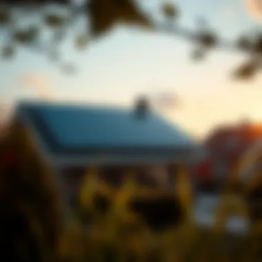 Sustainable Energy for Homes Sustainable energy solutions for the future