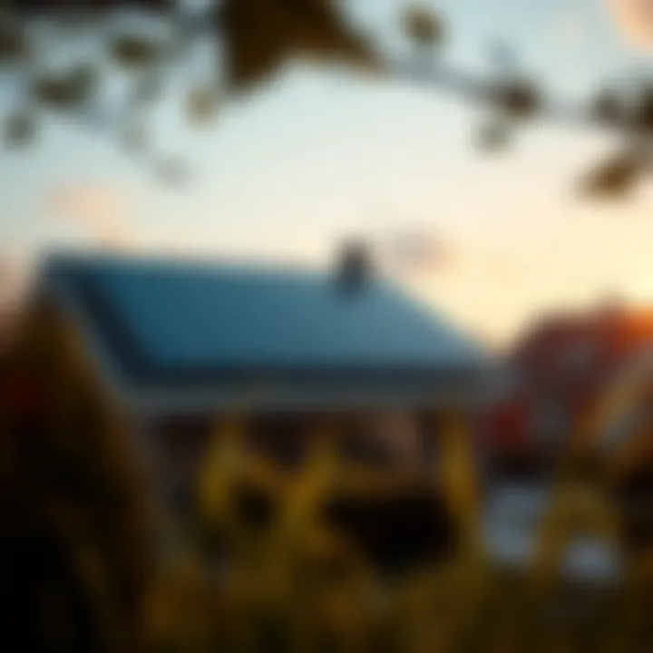 Sustainable Energy for Homes Sustainable energy solutions for the future