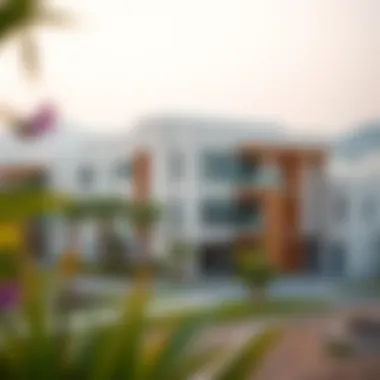 Surrounding community and landscape of Tameem House