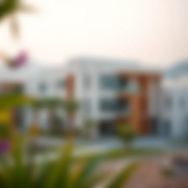 Surrounding community and landscape of Tameem House