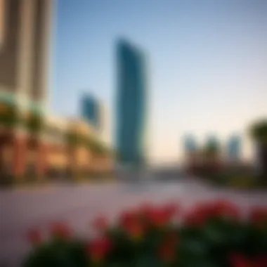 Amenities and recreational facilities around Tamouh Tower