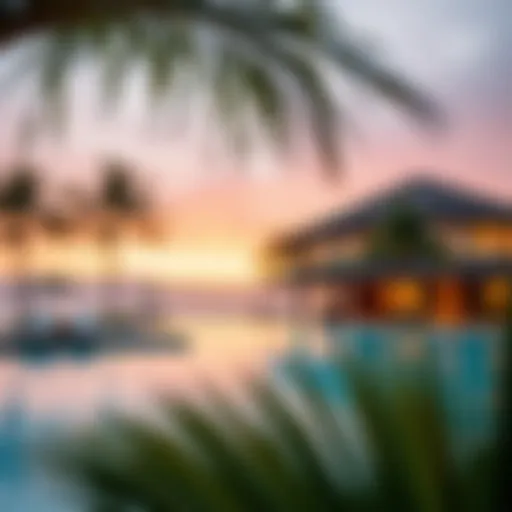 Symbolic representation of the point palm in various cultures