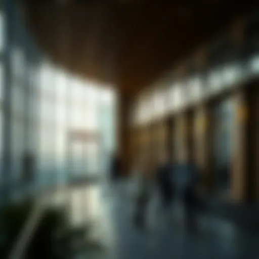 Legal framework of youth employment in the UAE