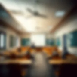 Classroom environment in Dubai English-speaking school